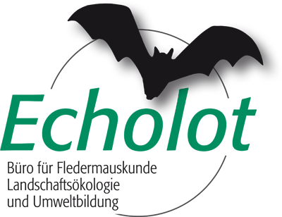 Logo zur echolot GbR als Fachbüro für Fledermauskunde